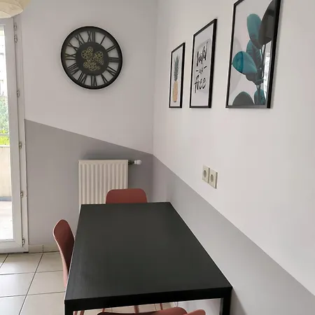 Daire Cozy 66 M2 Grenoble